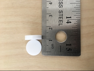 Zirconia Disk Sample